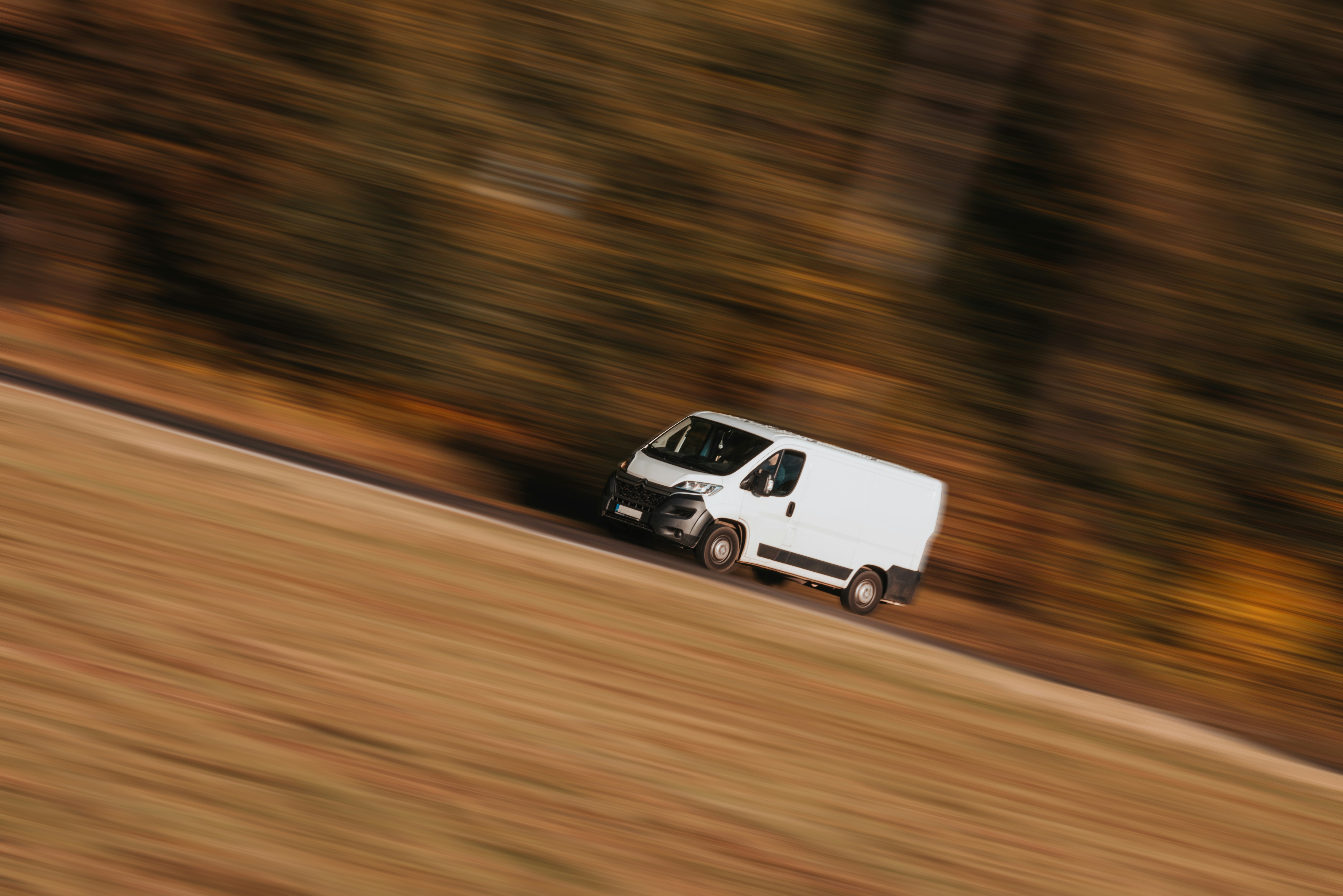 Fast Shipping